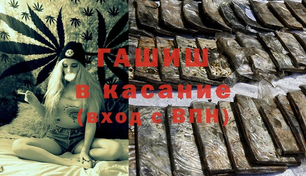 гидра Алексин