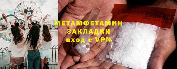гидра Алексин