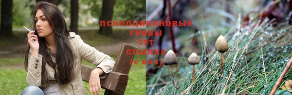 гидра Алексин